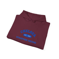 Thumbnail for Chelsea Unisex Hooded Sweatshirt
