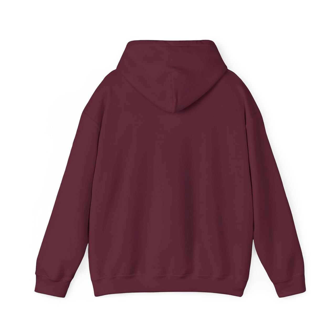 PSG Unisex Hooded Sweatshirt
